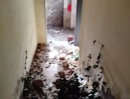 Почистване след животни в Пловдив
